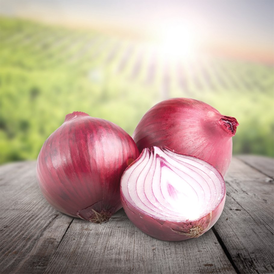 Жемчужный лук лук-порей