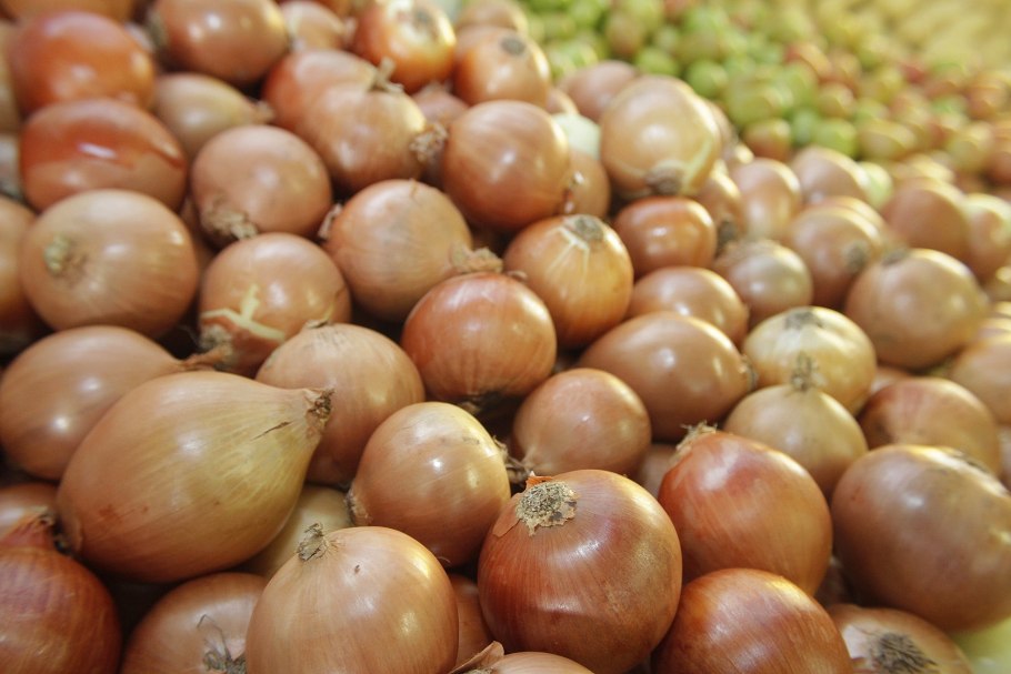 Лук Стардаст f1