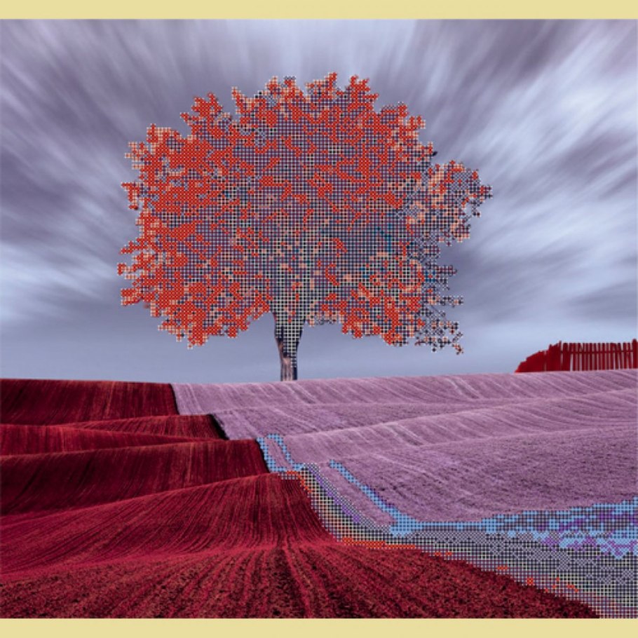 Осеннее дерево