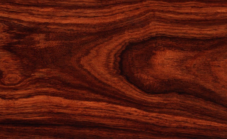 Красивое дерево