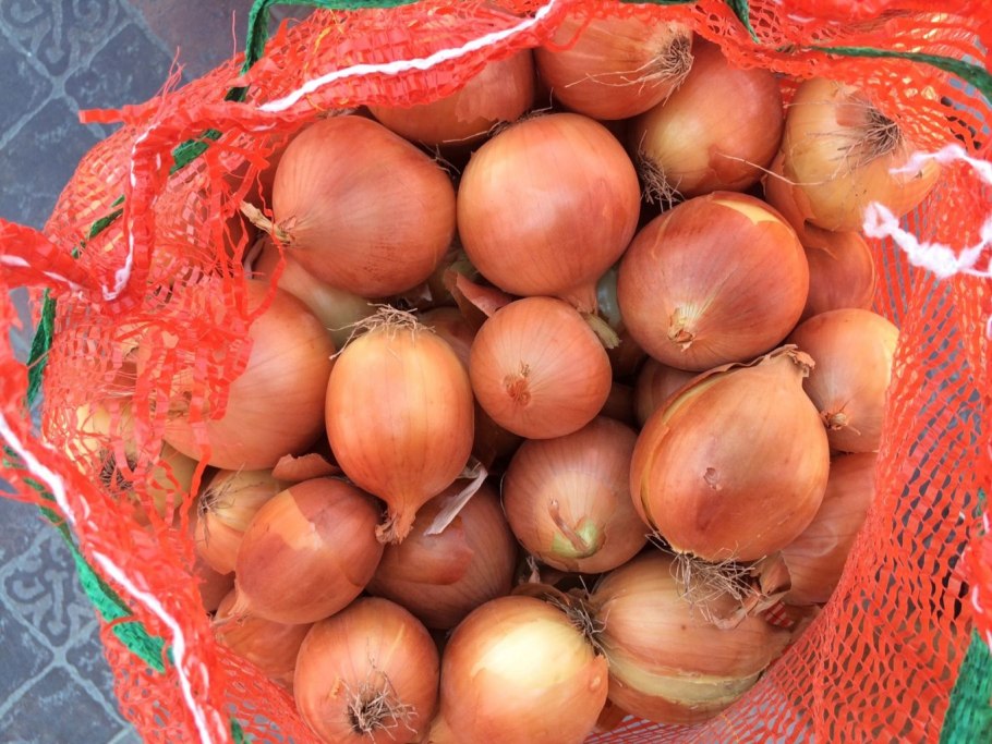 Лук урожай