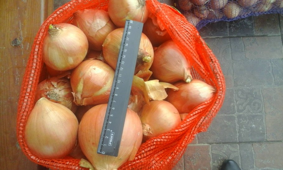 Фото хранения лука в мешках