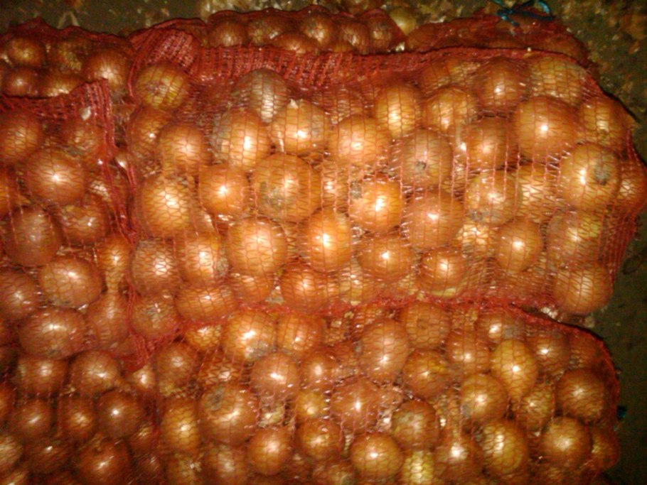 Лук репчатый сетка 25 кг