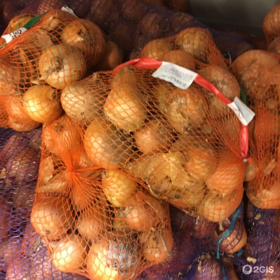 Лук в сетке