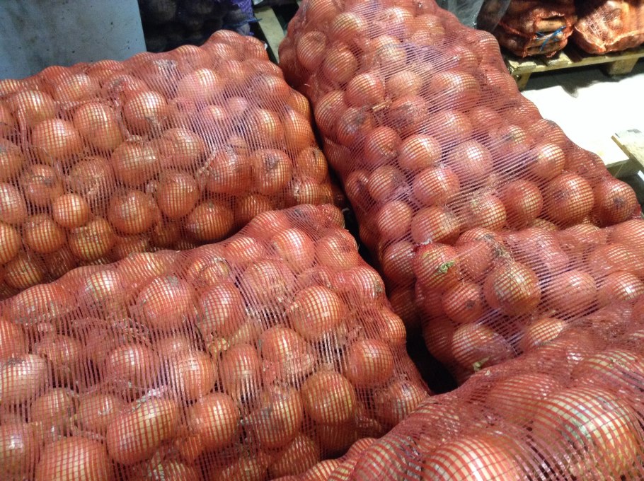 Лук в сетке арт