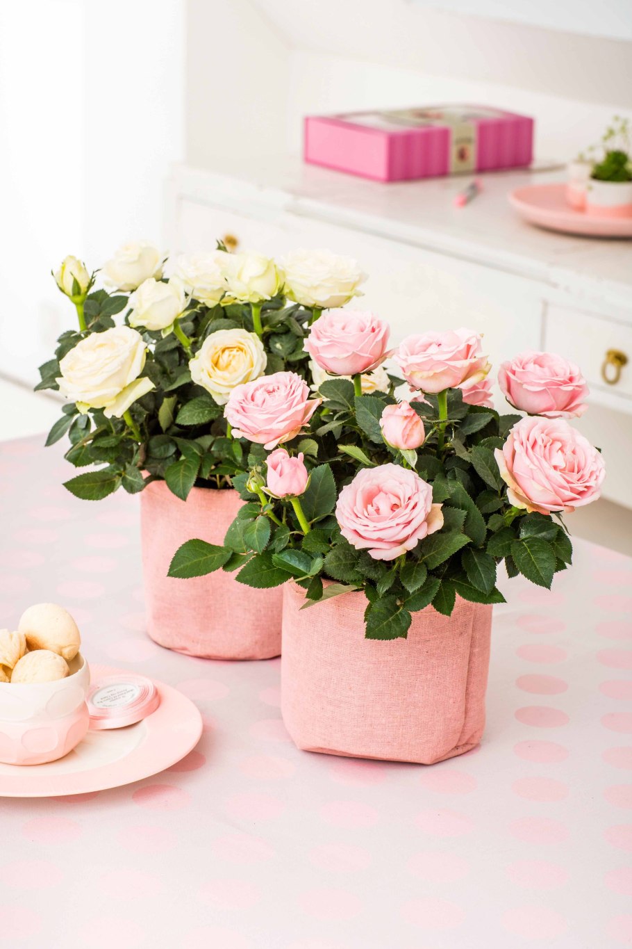 Роза Офелия