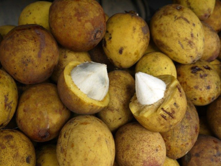 Платония замечательная фрукт