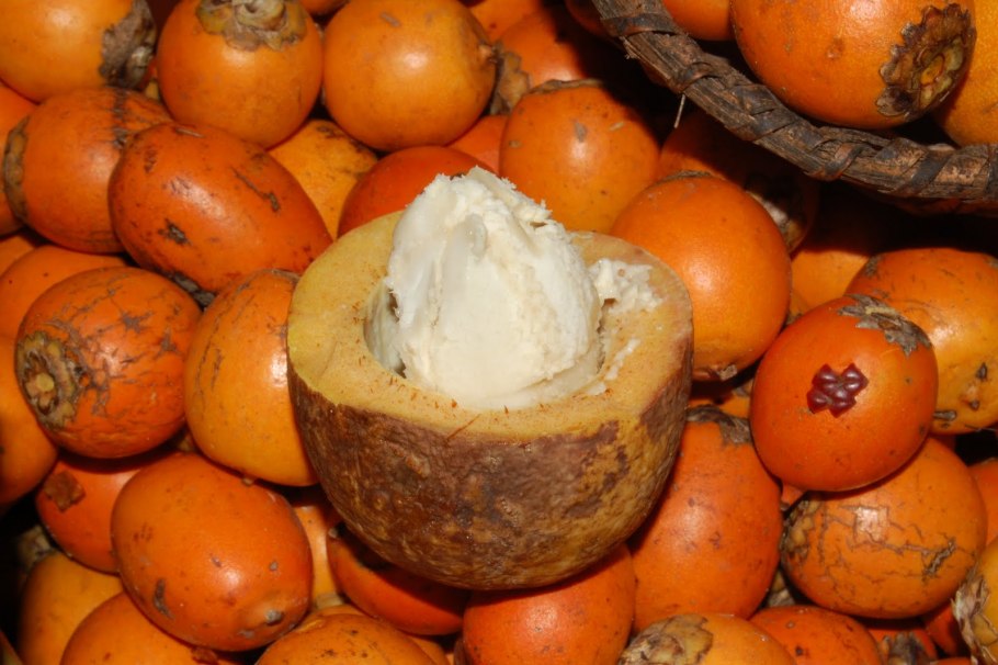 Платония фрукт