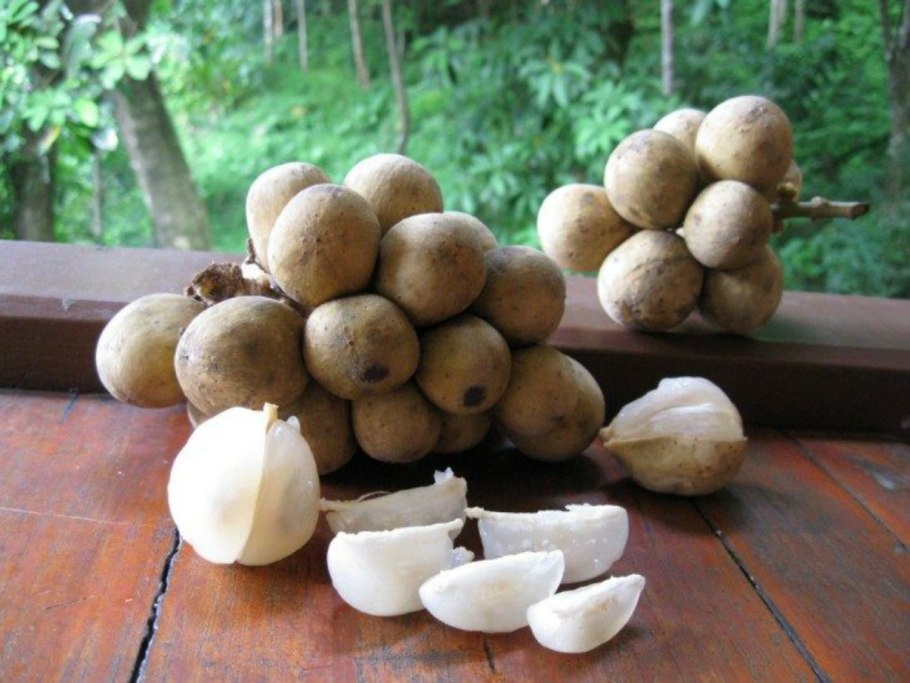 Платония замечательная фрукт