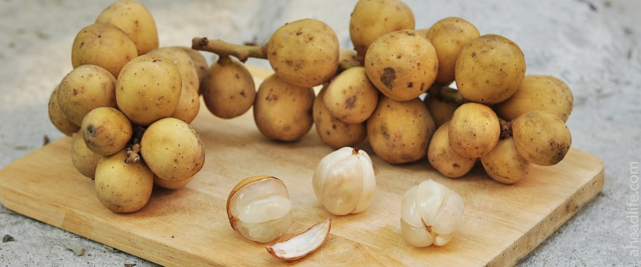 Экзотический фрукт Лангсат