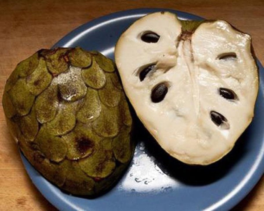 Экзотический фрукт Лангсат