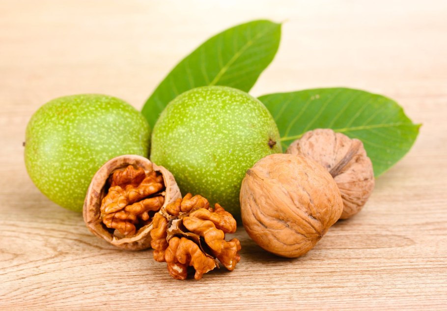 Неспелый грецкий орех