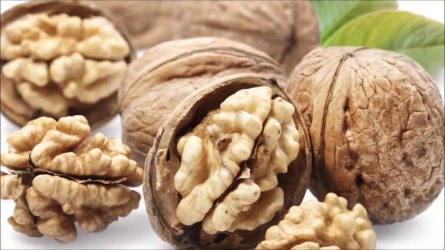 Дерево грецкого орех Астаховский