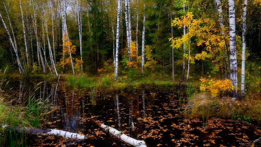 Омск торфяники