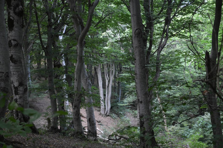 Стрижамент заказник ставрополь