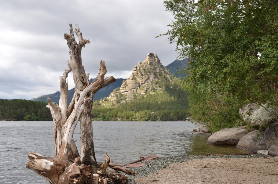 Березовая роща Карелия