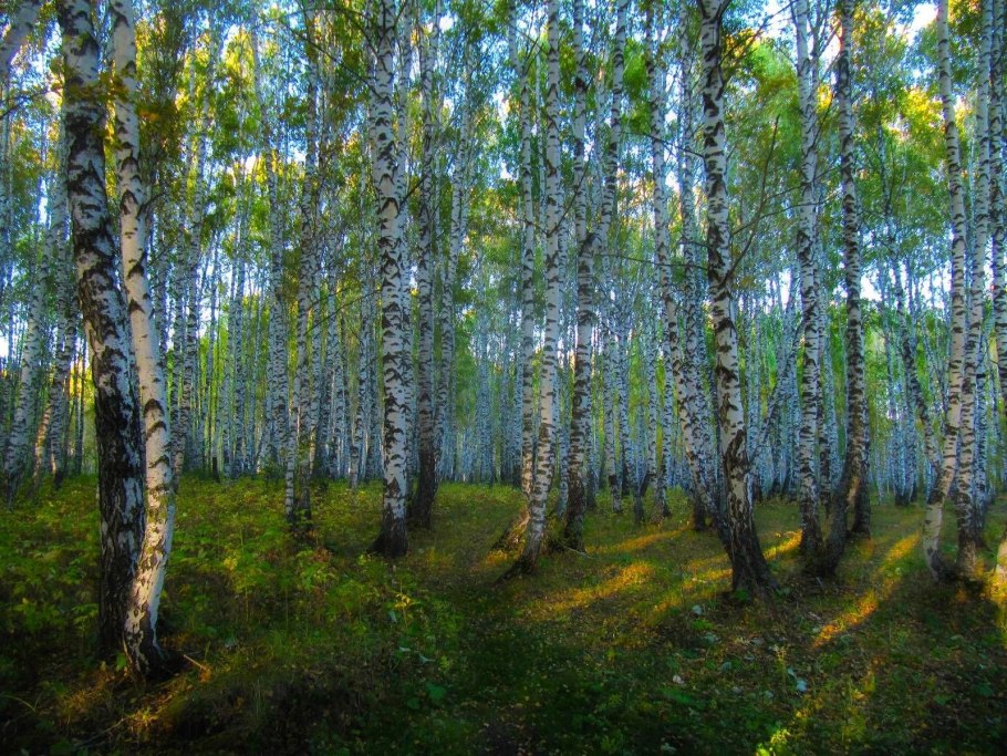 Чертово Логово Волгоградская область