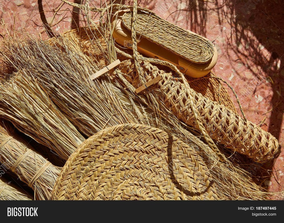 Злак Альфа Тунис