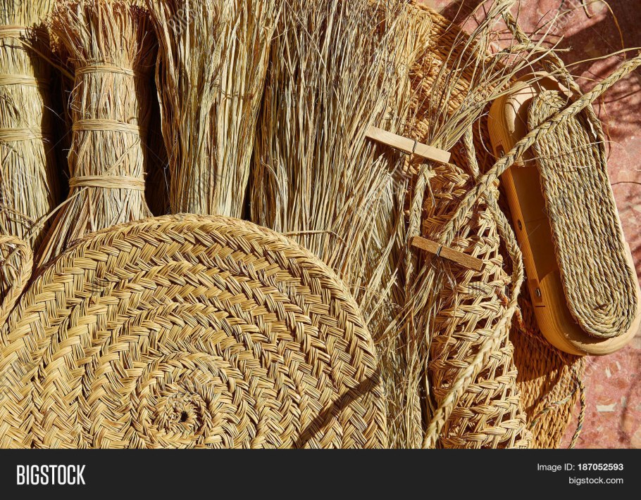 Ковыль Эспарто