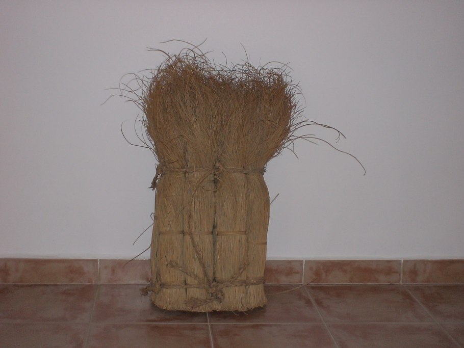 Macrochloa tenacissima