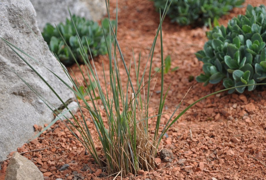 Эспарто бумага