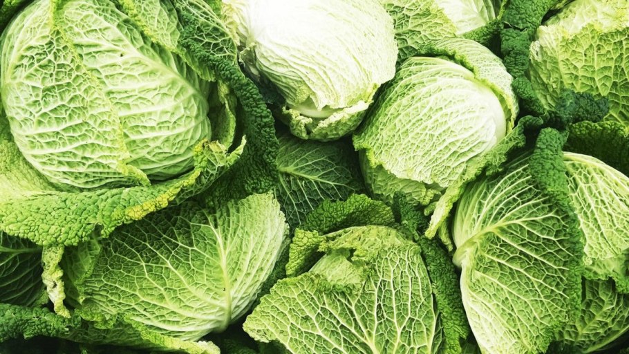 Капуста савойская