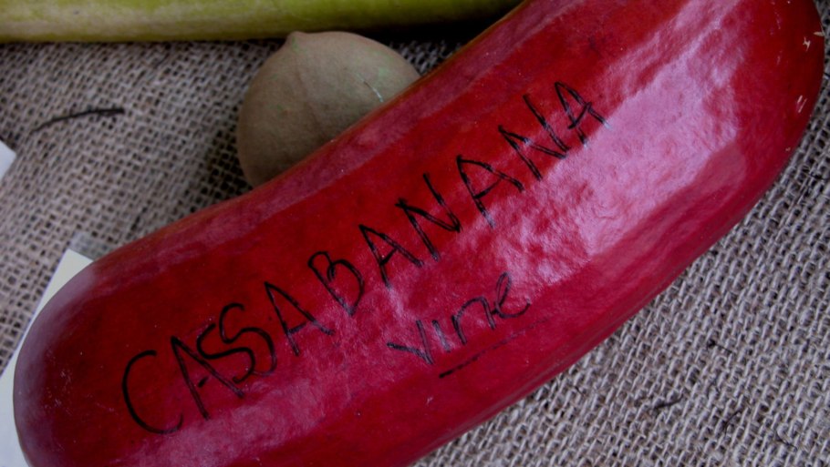 Кассабанана сады России Рамберт