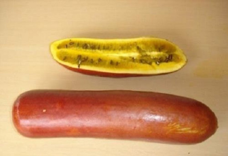 Папайя в парнике