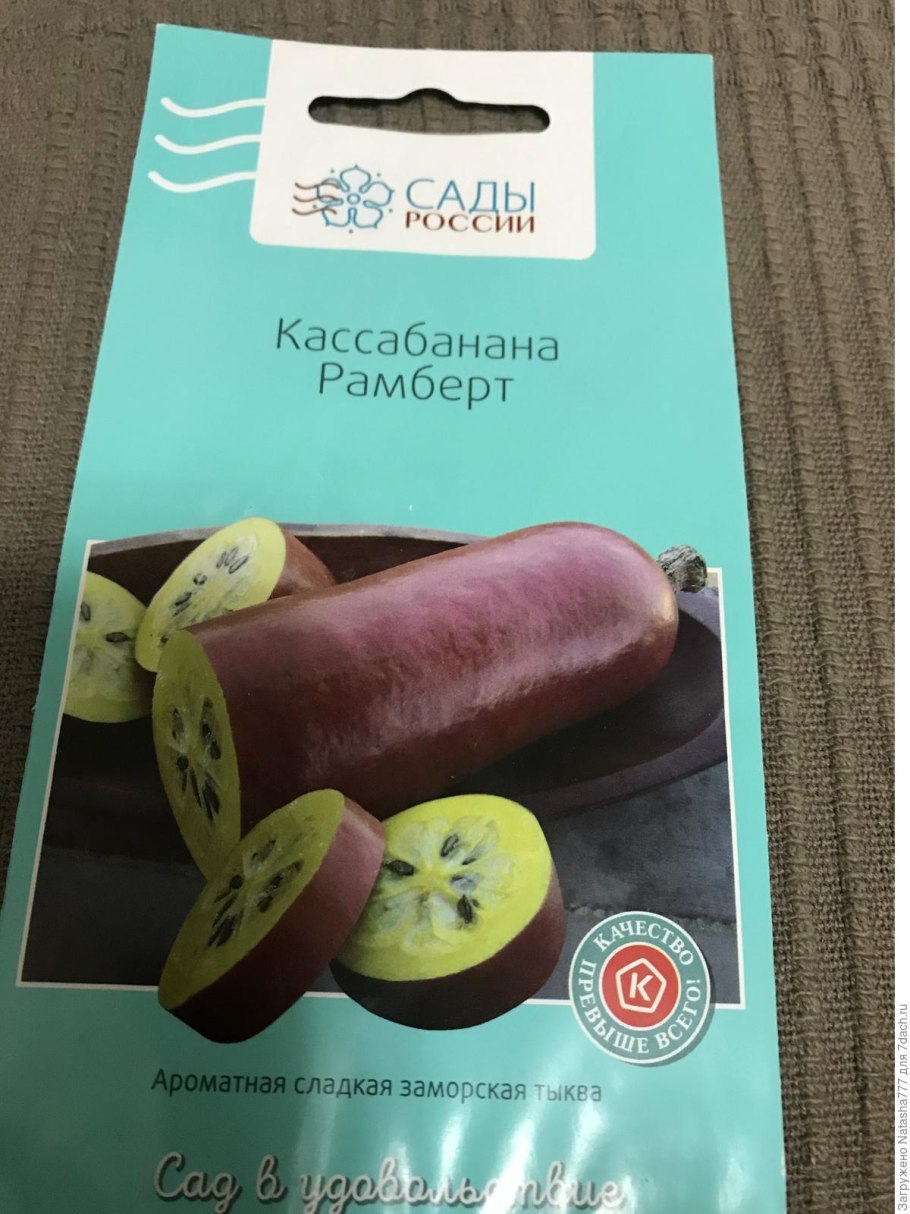 Фрукт Сикана