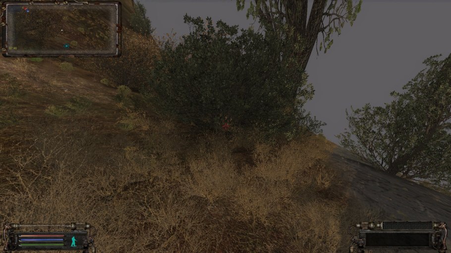 Тайник яйцевидный