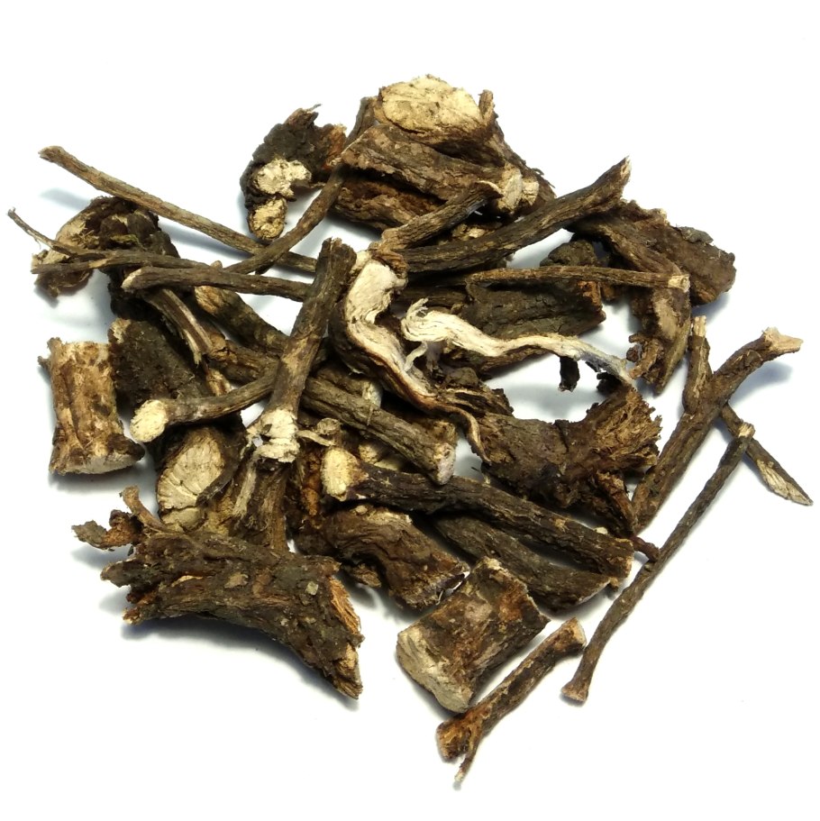 Стальник жёлтый