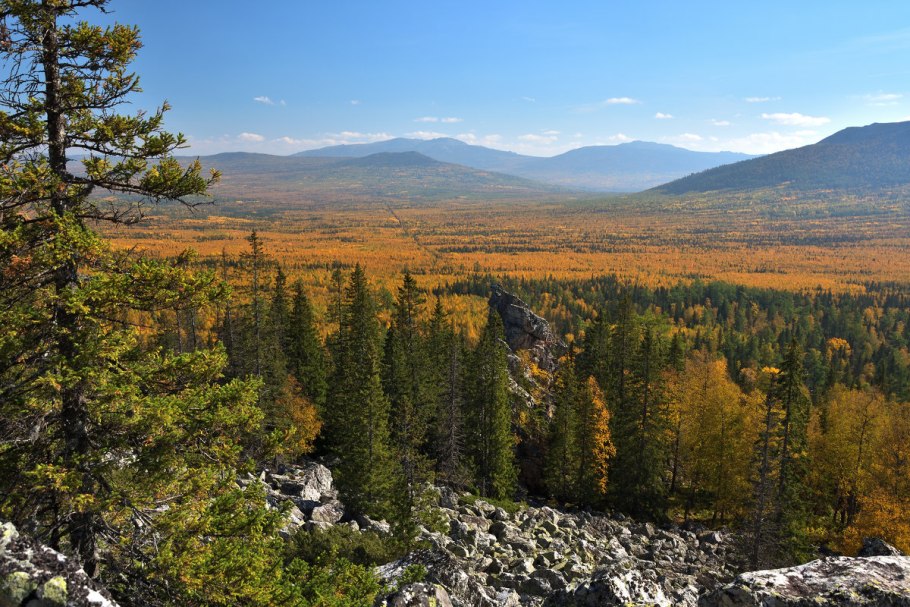 Тайга Северного Урала