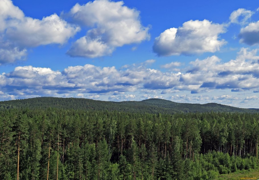 Тайга Северного Урала