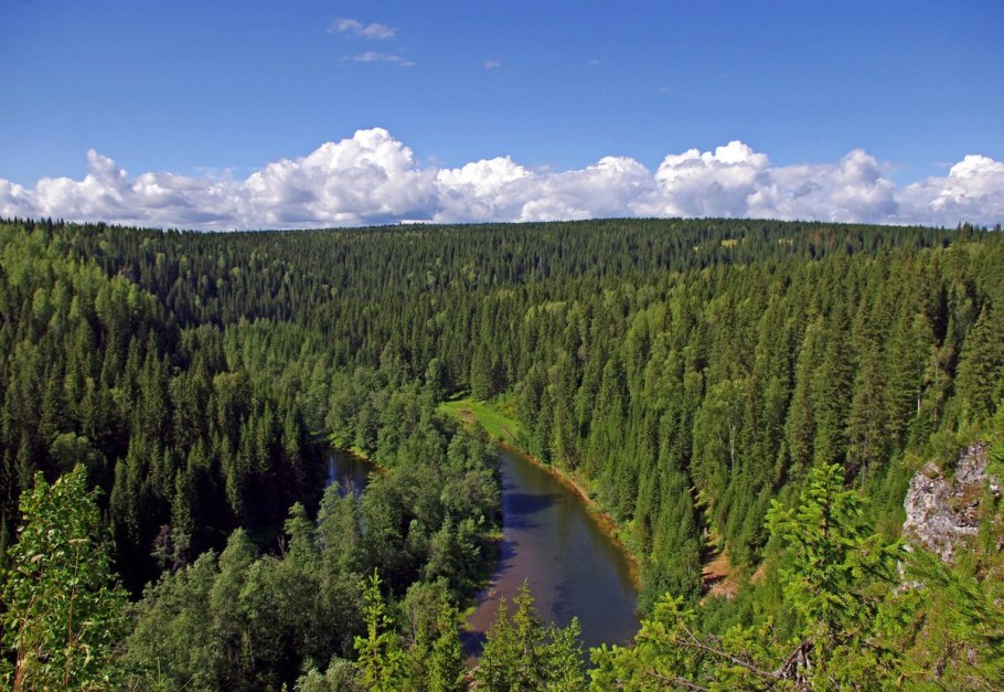 Речка койва пермский край