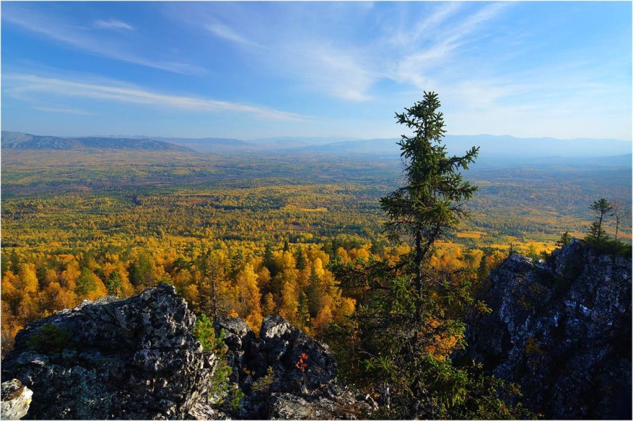 Тайга Южной Сибири