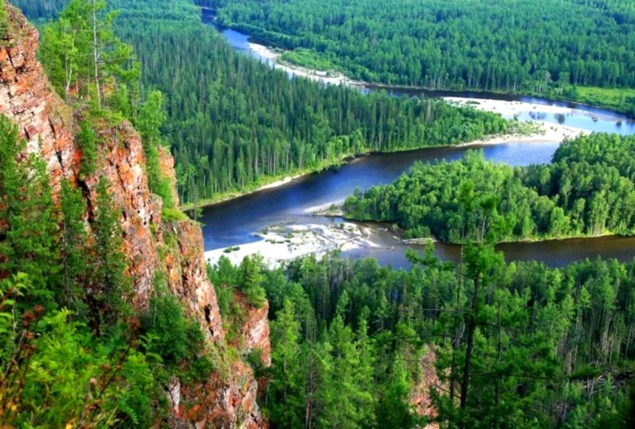 Горный Алтай Тайга