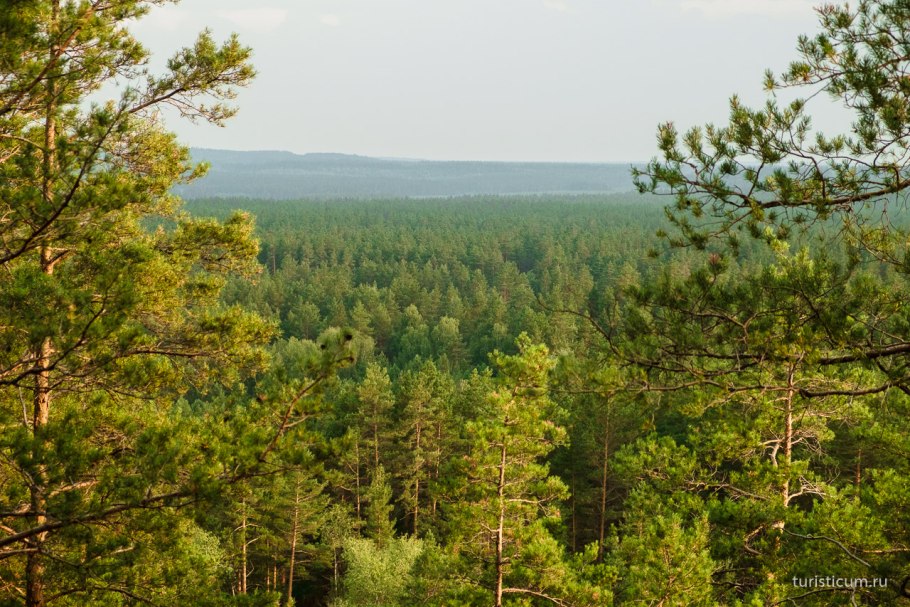 Подзона Южной тайги Челябинской области