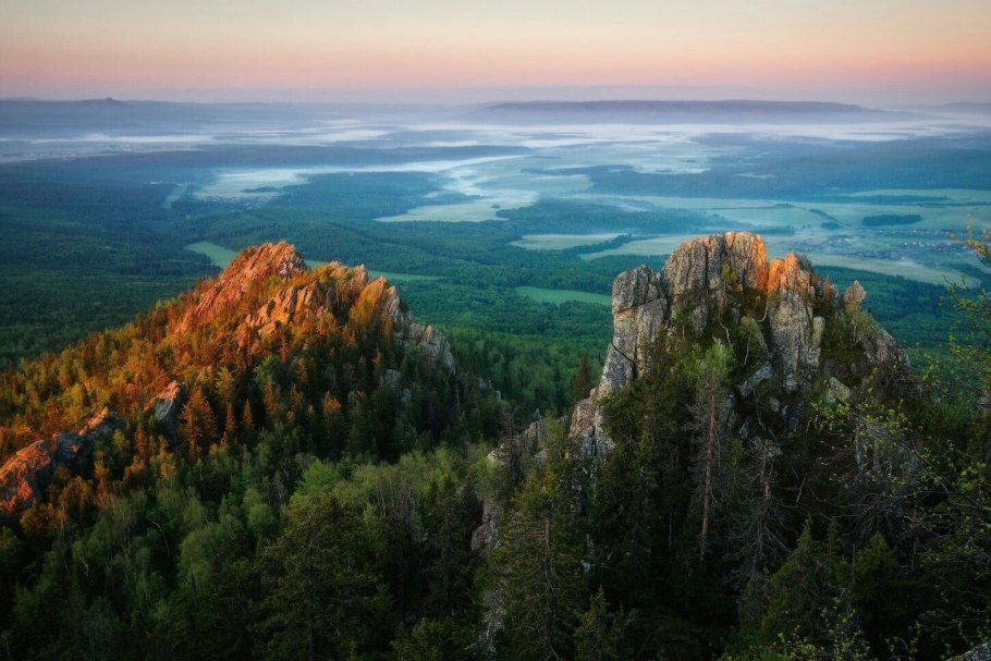 Тайга природная зона