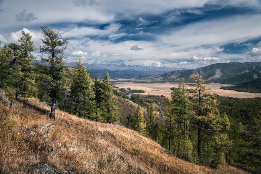 Пихтово-еловые леса Урала