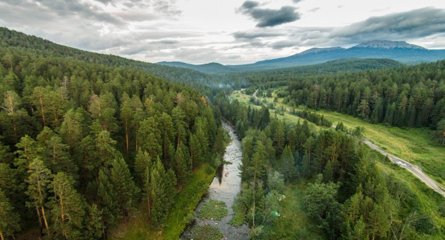 Северная Тайга Канады
