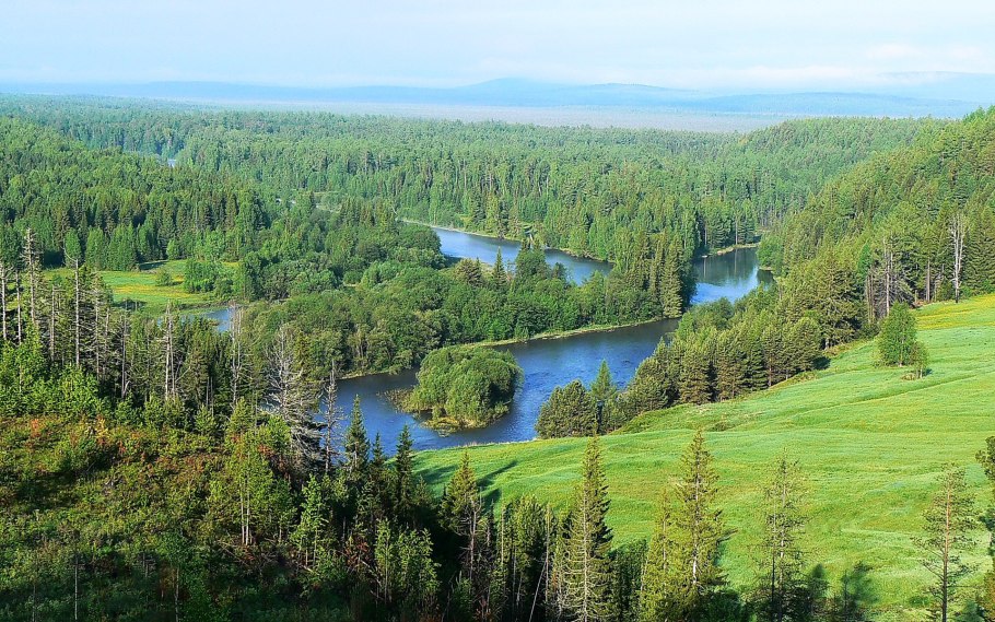 Джазатор горный Алтай