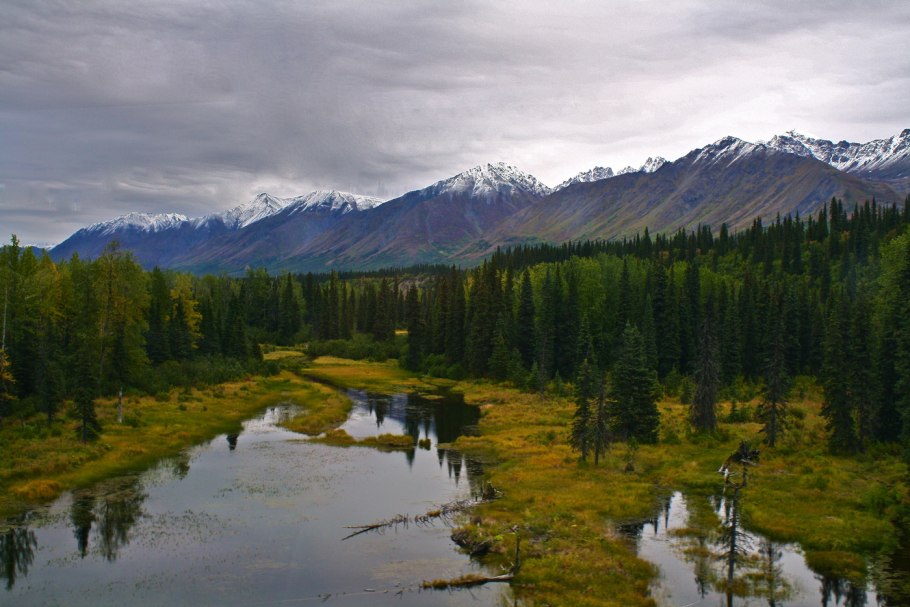 Сибирский лес Сибирская Тайга