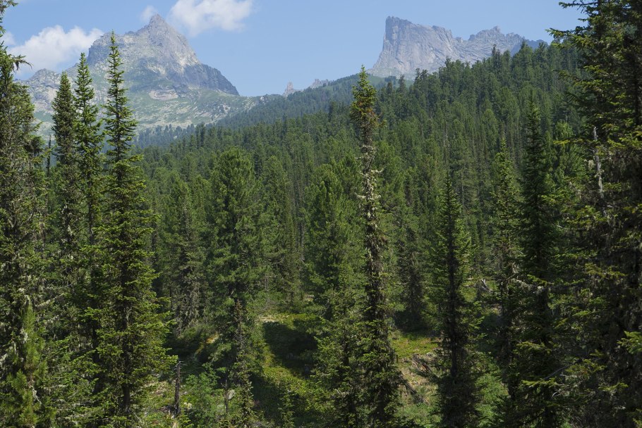 Горы Алтай Восточный Саян Западный Саян