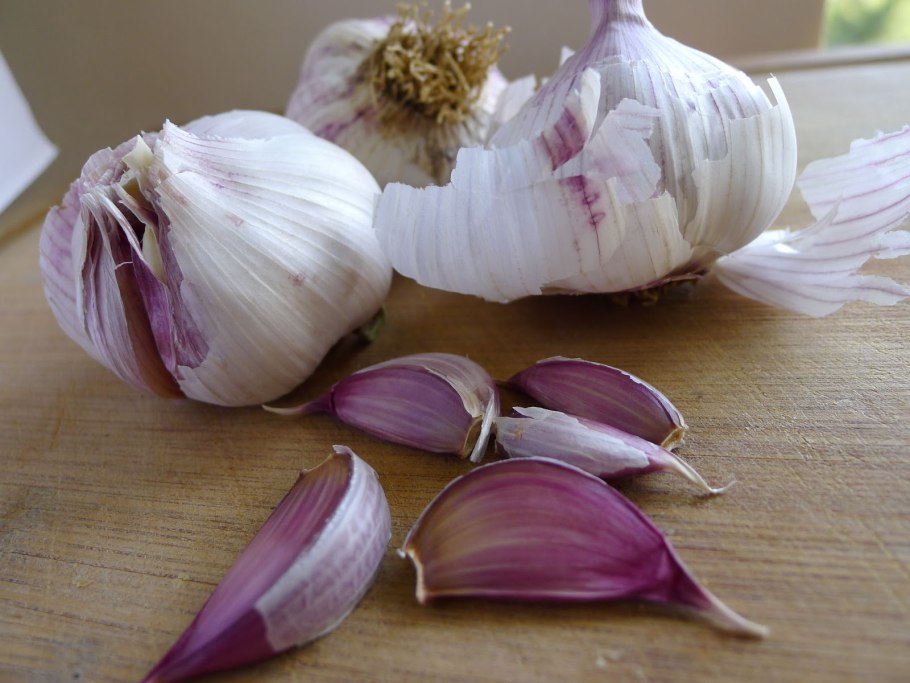Синий чеснок