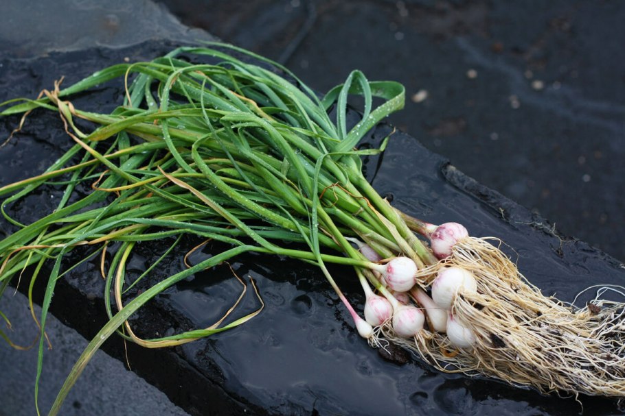 Денис Позимний