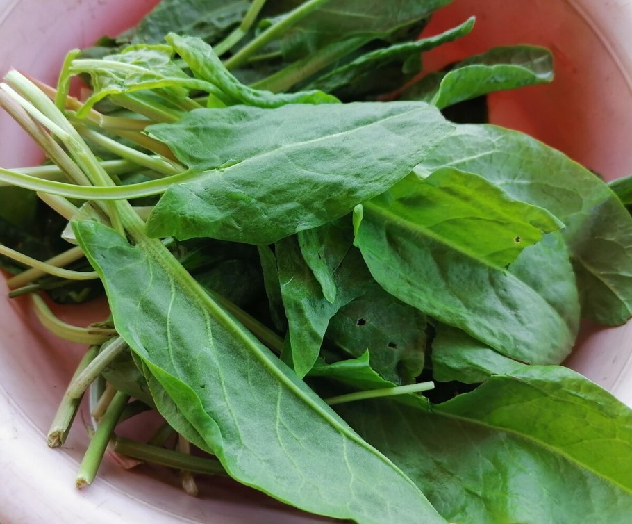 Щавелевый борщ с яйцом