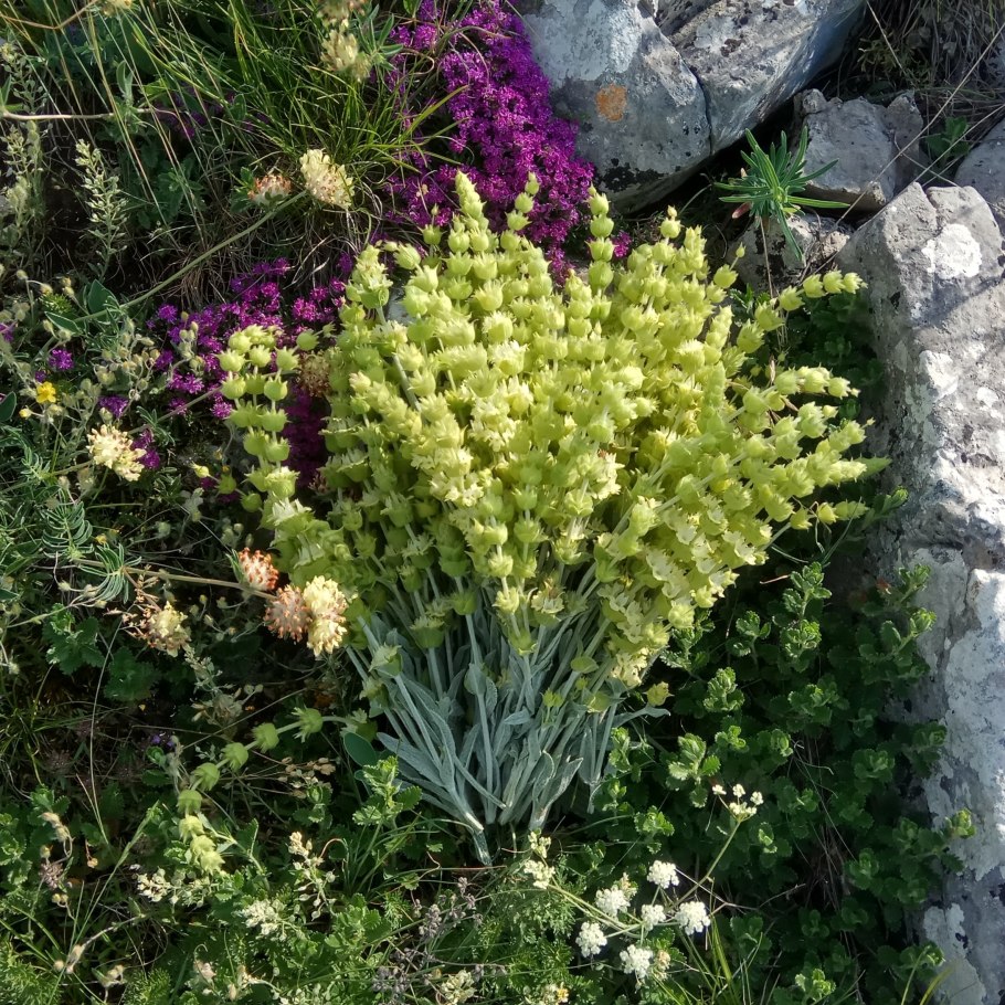 Железница Крымская