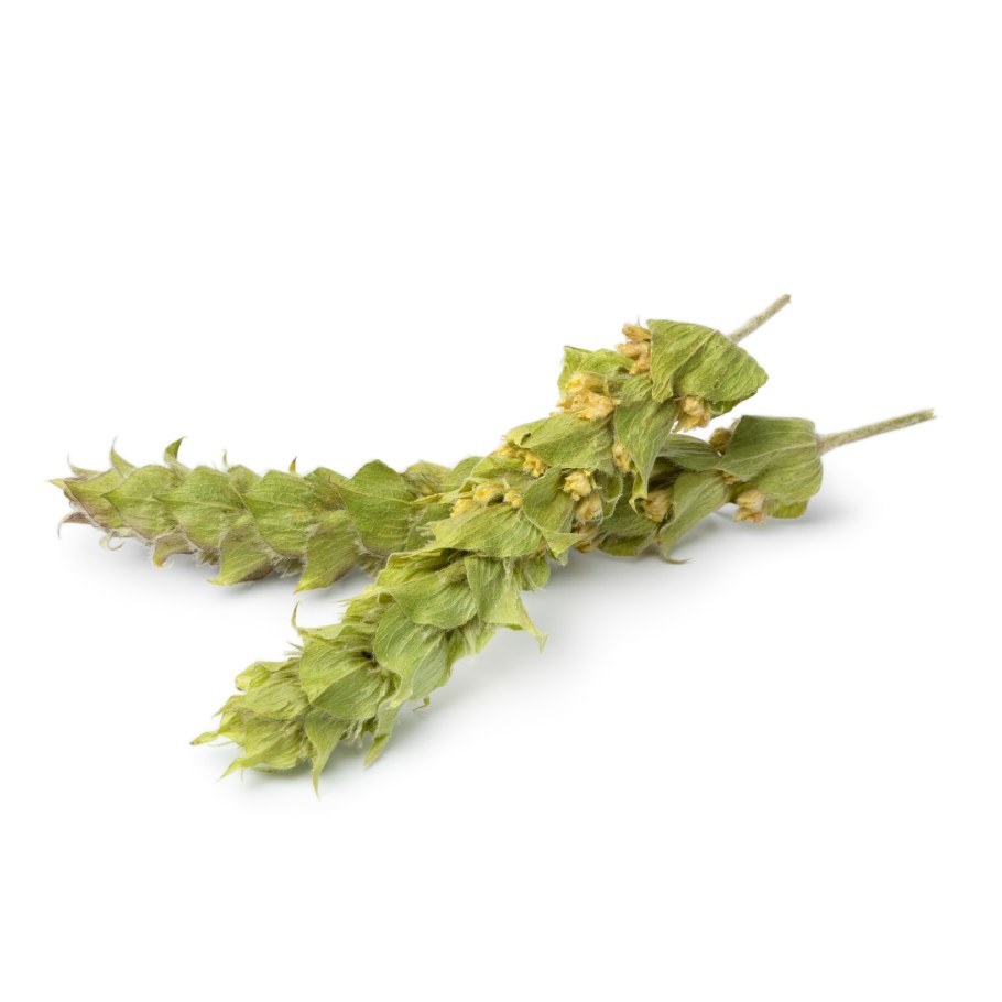 Мурсальский чай фото