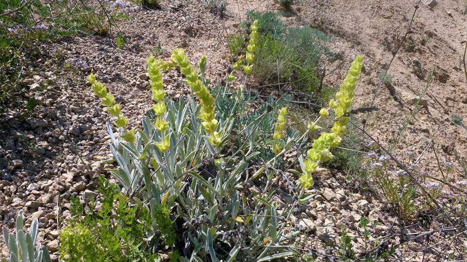 Железница Крымская