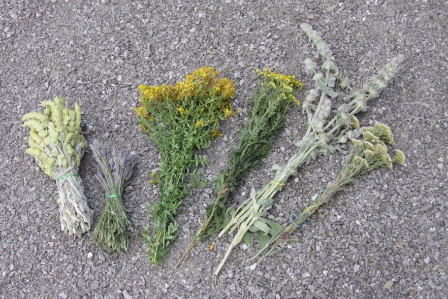 Плантариум Железница